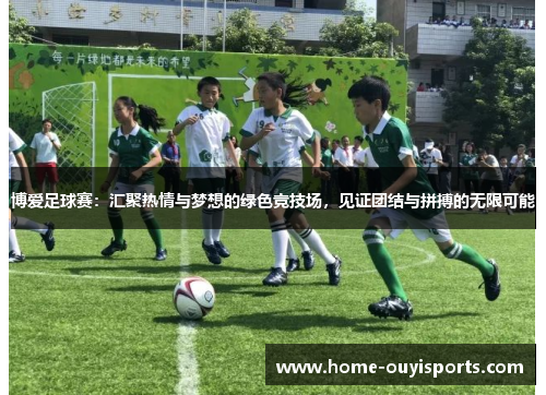 博爱足球赛：汇聚热情与梦想的绿色竞技场，见证团结与拼搏的无限可能